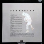 Incognito - Spyro Gyra - 28.69