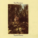 Tupelo honey - Van Morrison - 24.59